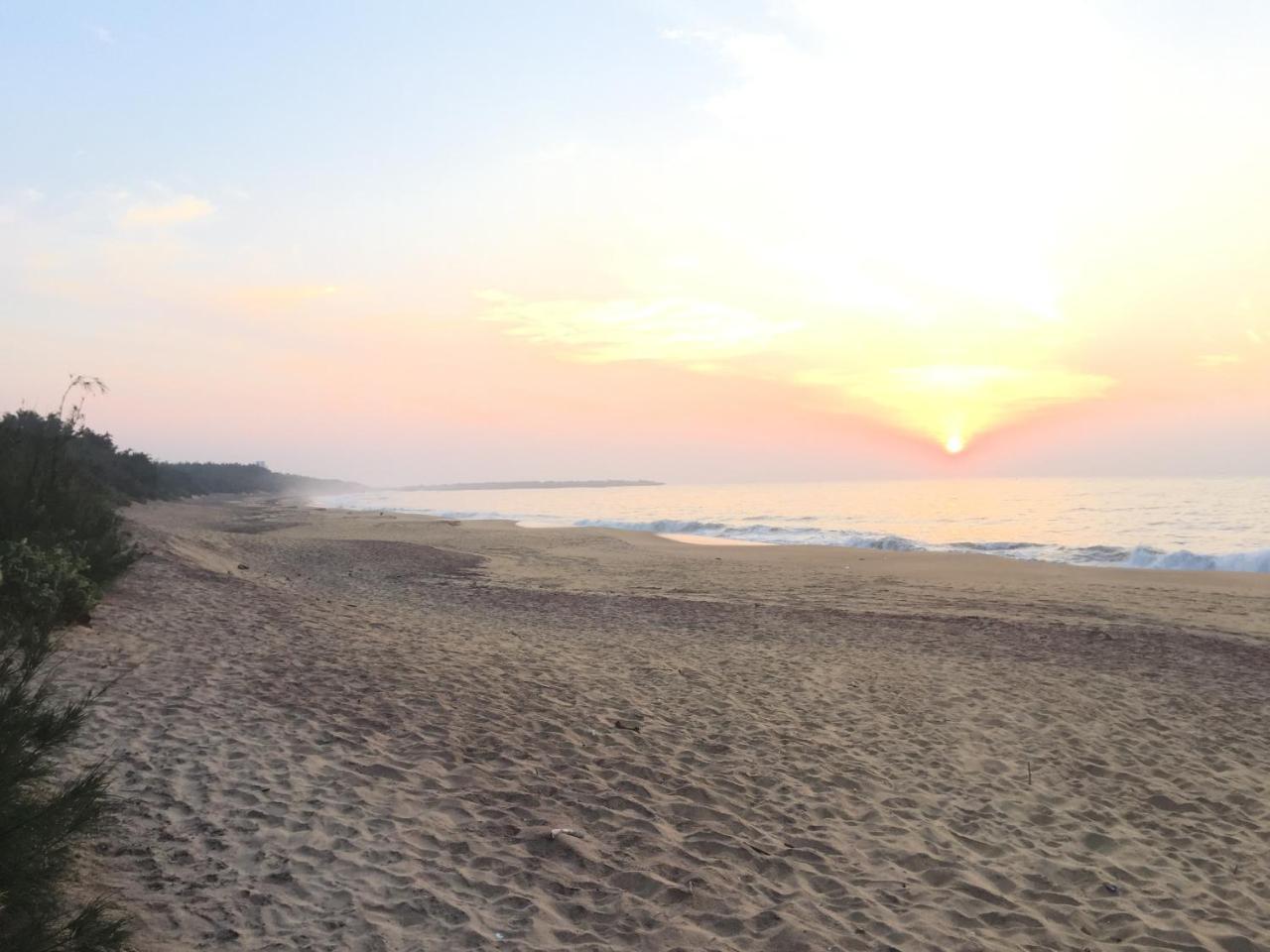 The Oasis Beach Resort 汉班托塔 外观 照片