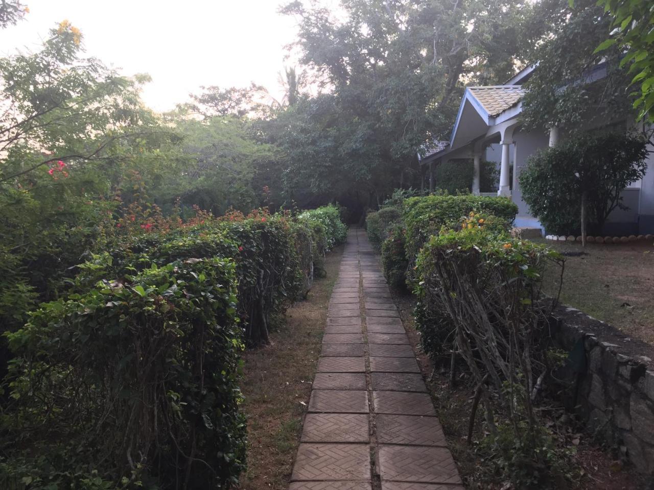 The Oasis Beach Resort 汉班托塔 外观 照片